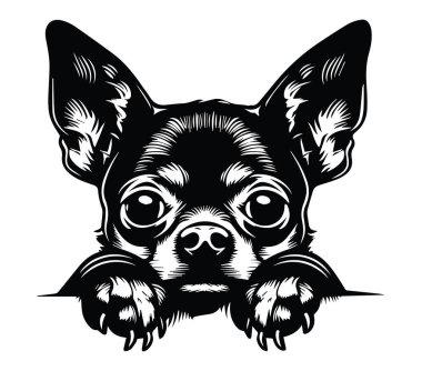 Sevimli Chihuahua İllüstrasyonu İfade Eden Gözler ve Hevesli İfade