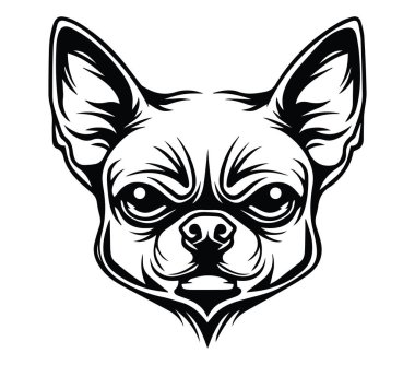 Bir Chihuahua Köpek Başı 'nın Ayrıntılı Siyah ve Beyaz Çizimi