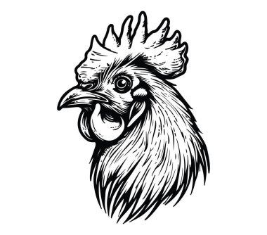 Bir Horoz Başı Profilinin Detaylı Siyah ve Beyaz Görünümü