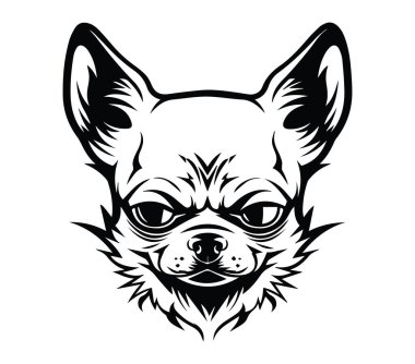 Bir Chihuahua Köpek Surat 'ın detaylı siyah-beyaz çizimi