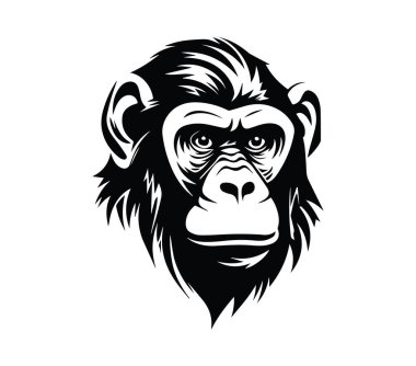 Siyah ve Beyaz Biçimli Bir Maymun Başının Detaylı ResmiComment