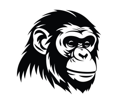 Monokrom Biçimli Maymun Başının Ayrıntılı ResmiComment