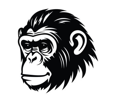 Bir Goril Başı Profilinin Siyah ve Beyaz Çizimi