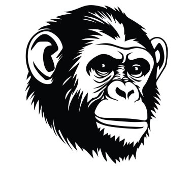 Vektör Biçimli Bir Maymun Başı Siyah ve Beyaz Görünümü