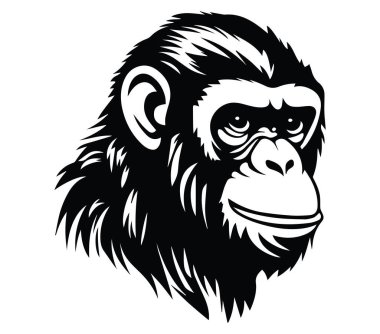 Görkemli bir Goril Yüzünün Zarif Siyah ve Beyaz Fotoğrafı