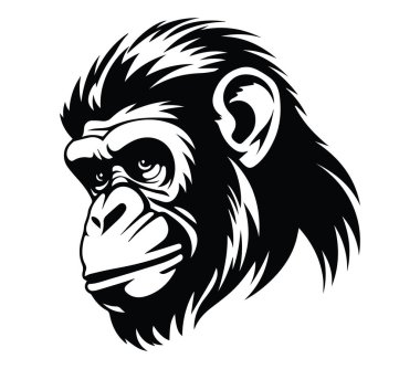 Bir Goril Başının Detaylı Siyah ve Beyaz Biçimli ResmiComment