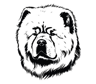 Görkemli bir Chow Chow Köpek Kafasının Ayrıntılı İllüstrasyonu