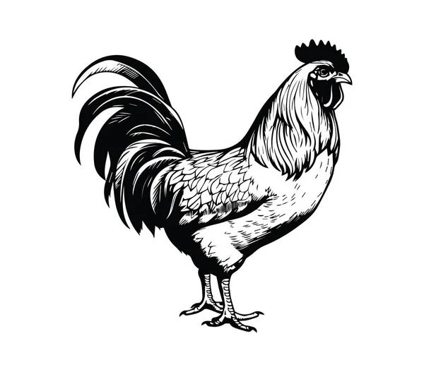 Çiftlik Temaları İçin Siyah Beyaz Seçkin Horoz İllüstrasyonu