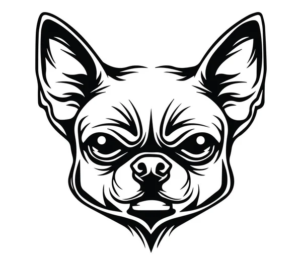 Bir Chihuahua Köpek Başı 'nın Ayrıntılı Siyah ve Beyaz Çizimi