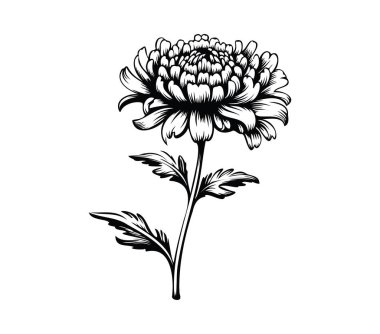 Karmaşık Detaylı Tek Bir Çiçeğin Siyah ve Beyaz ResmiComment