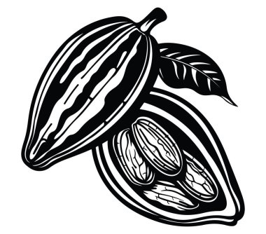 Kakao Fasulye ve Yapraklar Siyah ve Beyaz Tarzlı Kakao Kabuğu