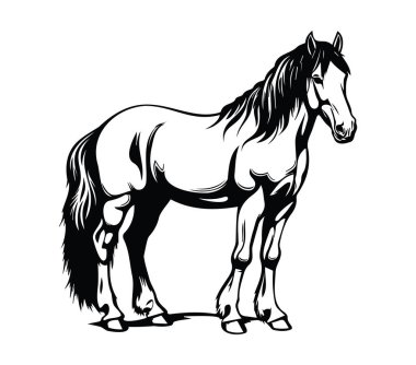 Siyah ve Beyaz Güçlü Zarif Bir Atın Şekil Değiştirilmiş Görüntüsü