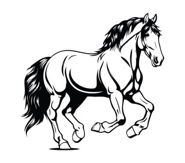 Dört nala giden bir atın zarif siyah beyaz çizimi.