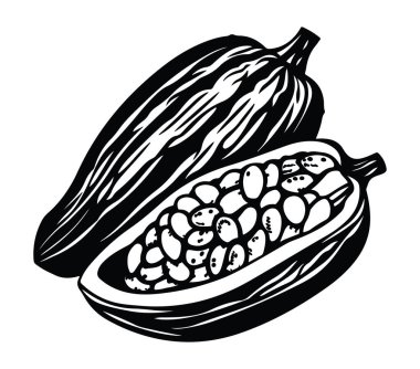 Siyah ve Beyaz Kakao Kabuğu ve İçinde Fasulye