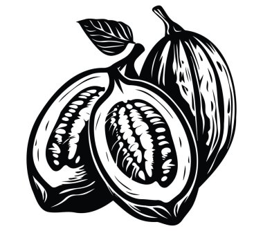 Siyah ve Beyaz Kakao Kabukları ve Açık Kakao Meyveleri