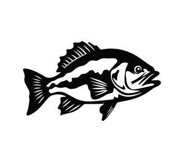 Ayrıntılı Özellikleri ve Yüzgeçleri Olan Bir Balığın Siyah ve Beyaz İllüstrasyonu