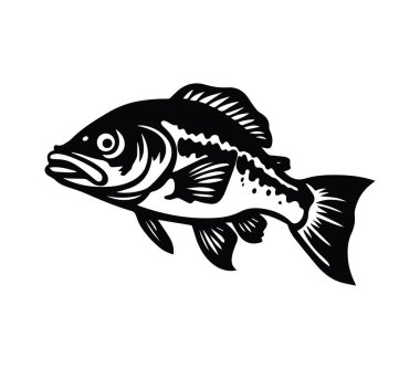 Mutfak Kullanımı İçin Tatlı Su Balığının Siyah ve Beyaz İllüstrasyonu