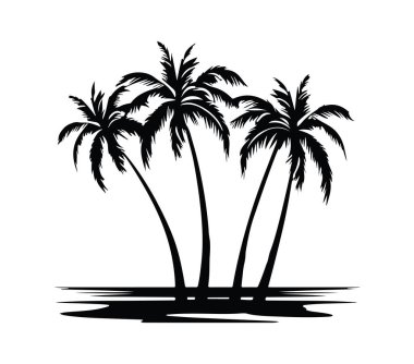 Gün batımında yansıması olan Huzur Sahilindeki Üç Palmiye Ağaçlarının Silueti