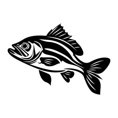 Suda Zarifçe Yüzen Çizgili Bir Balığın Siyah ve Beyaz Fotoğrafı