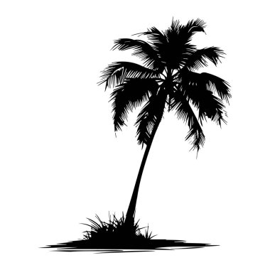Basit bir Arkaplan Karşısında Tek Palmiye Ağacının Zarif Silueti