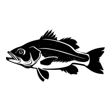 Tatlı Su Bass Balığı 'nın Siyah ve Beyaz Fotoğrafı