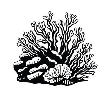 Ayrıntılı Dalları ve Deniz Elementleriyle Mercan Resifi Resimleri