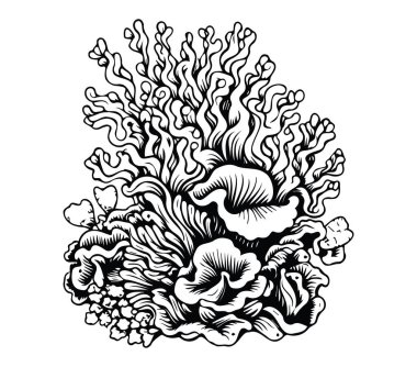 Sanatsal Mercan Resifi Tasarımı 'nın Karmaşık Siyah ve Beyaz Resimleri