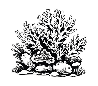 Siyah ve Beyaz Yaşamlı Canlı Mercan Resifi Resimleri