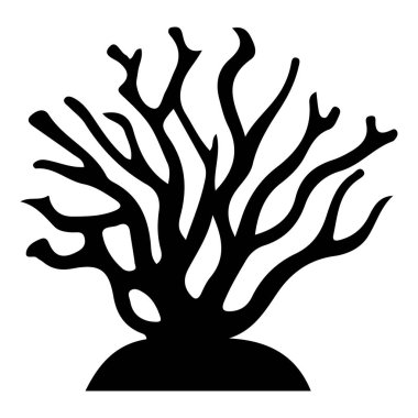 Mercan Resifi 'nin Karmaşık Dallanma Tasarımı ile Soyut Silueti