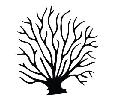 Yapraksız bir ağacın siyah silueti Karmaşık dallarla