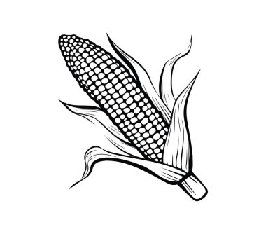 Siyah ve Beyaz Mısır koçanı Yapraklı ve Sapıklı