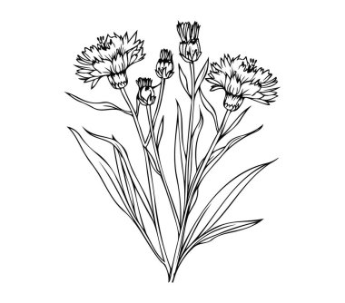 Ayrıntılı Yaprak ve Köklerle Çiçek Açma Sanatı