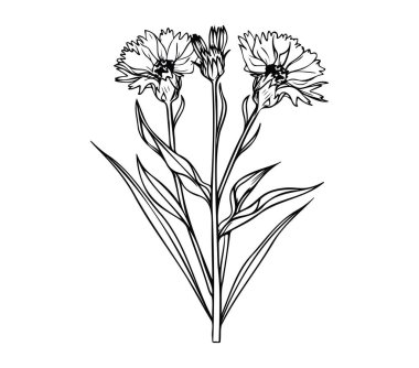 Sanatsal Resimler İçin Yaprakları Olan Güzel Çiçeğin Hassas Özeti