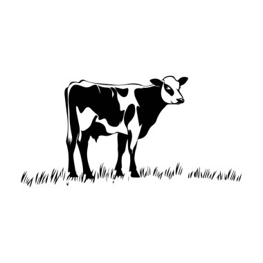 Çayırdaki Ayakta Duran İnek 'in Siyah ve Beyaz Çizimi