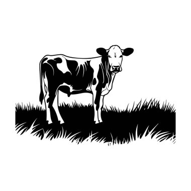 Çimen Tarlasında Duran Bir İneğin Siyah ve Beyaz Çizimi