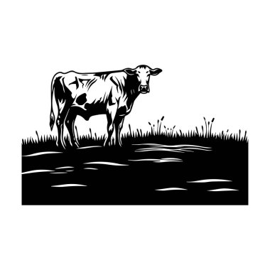 Otlakta Siyah ve Beyaz İnek Otlatan Suyun Yakınındaki Suyun Silueti