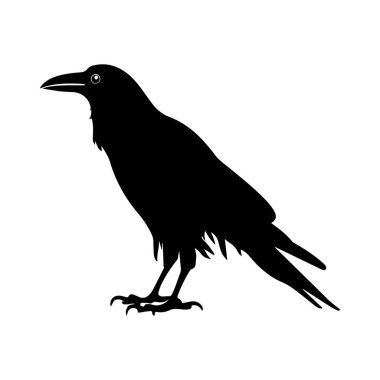 Bir kuzgunun siyah silueti tek ayağının üzerine tünemiş.