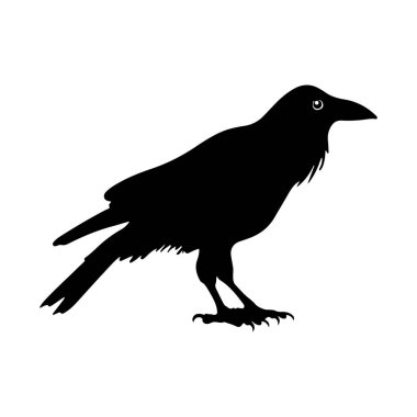 Ayakta duran siyah bir karga silueti