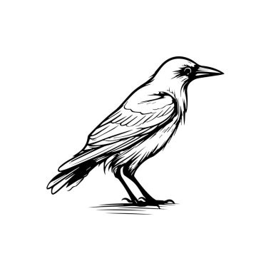Tasarım Projeleri için Basit Satır Sanat Biçimi Siyah Kuş Resimleri