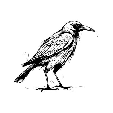 Profil Görünümündeki Bir Karganın Ayrıntılı Siyah ve Beyaz Görünümü