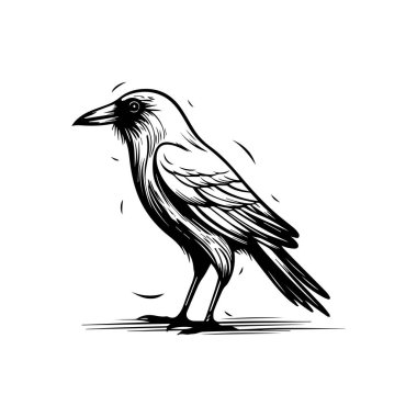 Şık Duruşu ve Kanatları olan Tüylü Kuşun Tek Renkli Çizimi