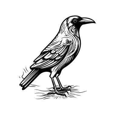 Ayakta Duran Kuş Tasarımı 'nın Karmaşık Siyah ve Beyaz Çizimi