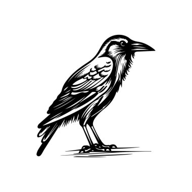 Sanat Projeleri için Klasik Biçim Siyah Kuş İllüstrasyonu
