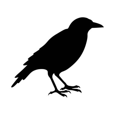 Ayrıntılı Özellikleri Olan Bir Kuşun Siyah Silueti