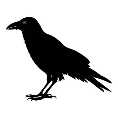 Saf Siyah Karga Silueti