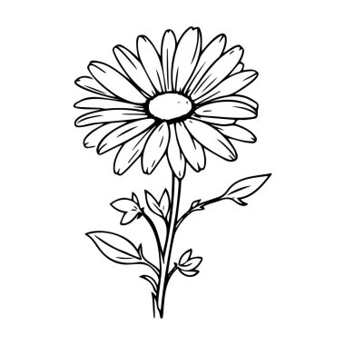 El yapımı Daisy Çiçek Çizimi Klasik ve Minimalist Tasarımlar İçin Mükemmel