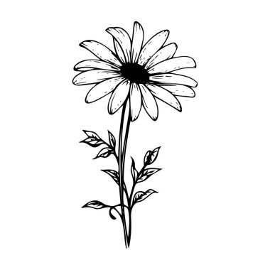 Ayrıntılı taç yaprakları ve yapraklarla çiçek açan bir çiçeğin el çizimi.