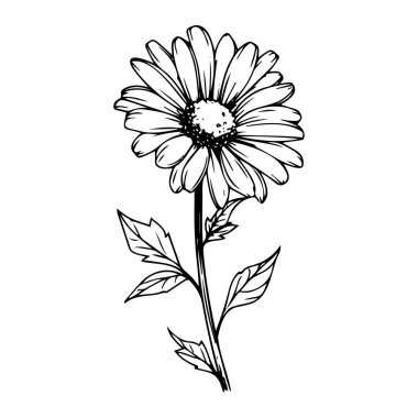 Yaprakları ve Yaprakları Tasarım Amaçlı Güzel Bir Çiçeğin Siyah ve Beyaz El Çizimi