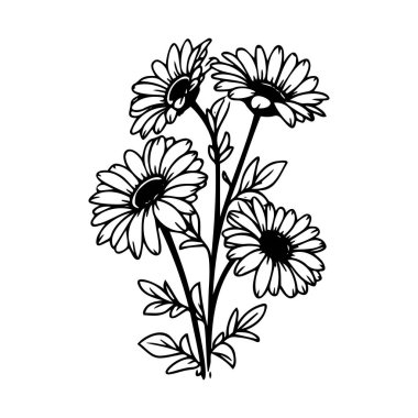 Ayrıntılı taç yaprakları ve siyah ve beyaz yaprak saplı canlı papatyalar içeren el yapımı çiçek çizimi.