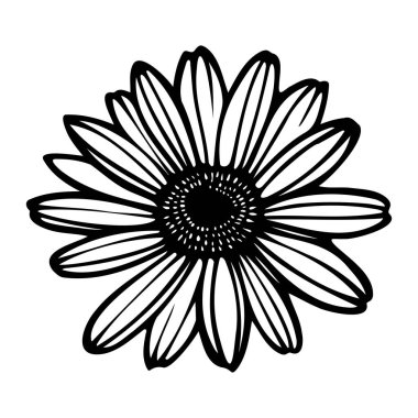 Hassas Taçyaprakları ve Ayrıntılı Merkezi Tasarımı olan Bir Ayçiçeğinin Siyah ve Beyaz Görünümü